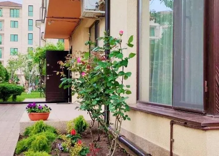 Location In Sunny Amber Appartement