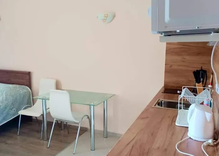 Appartement Location In Sunny Amber